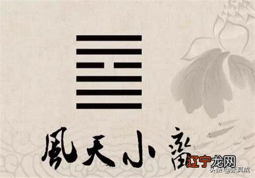 张其成讲:《易经》是中国智慧的源头