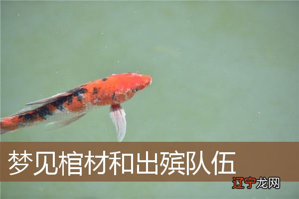 周公解梦:梦见死人在堂,得财良缘,有财运