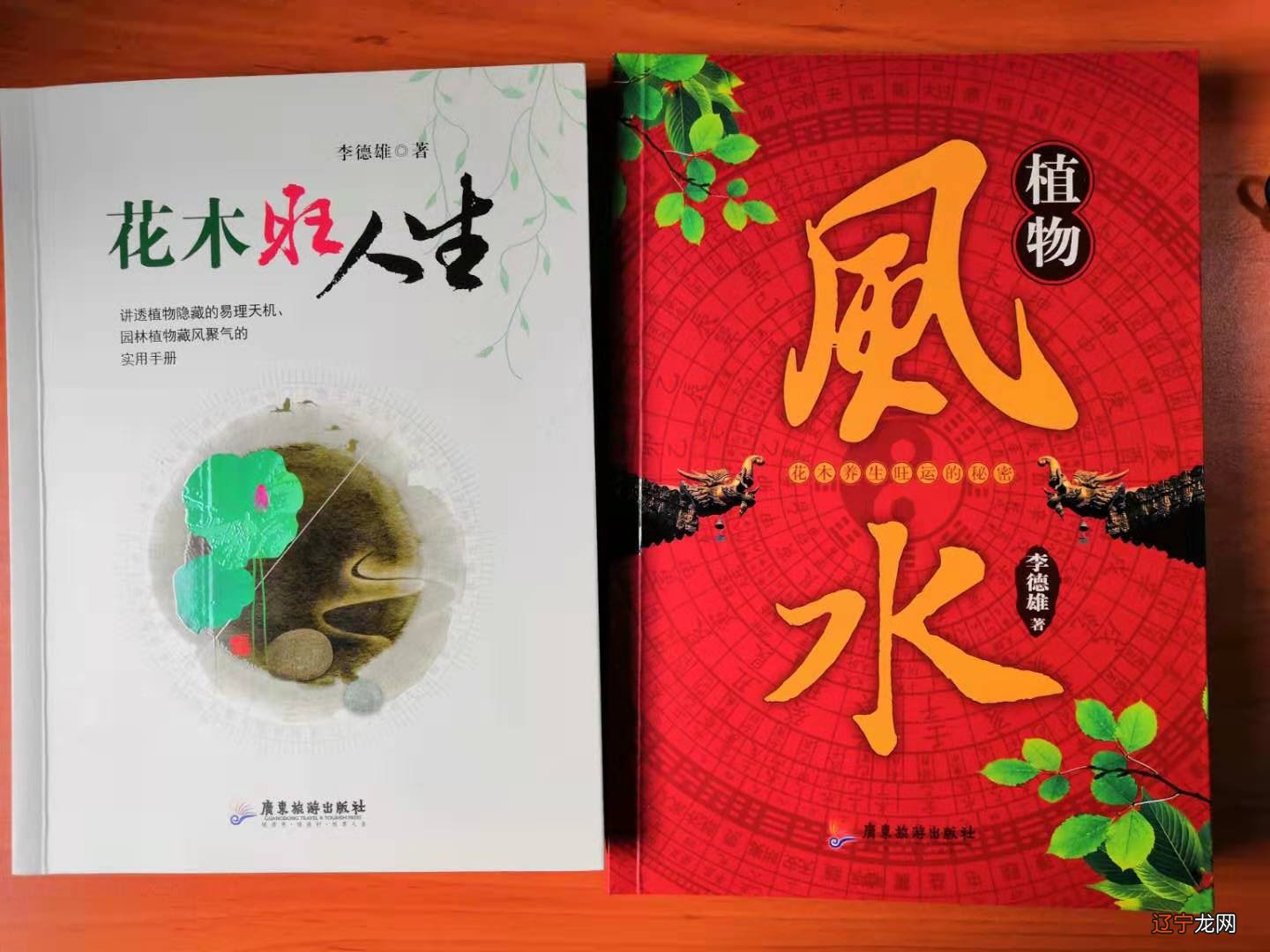 风水是环境对人的影响，是研究人与自然环境的关系学科