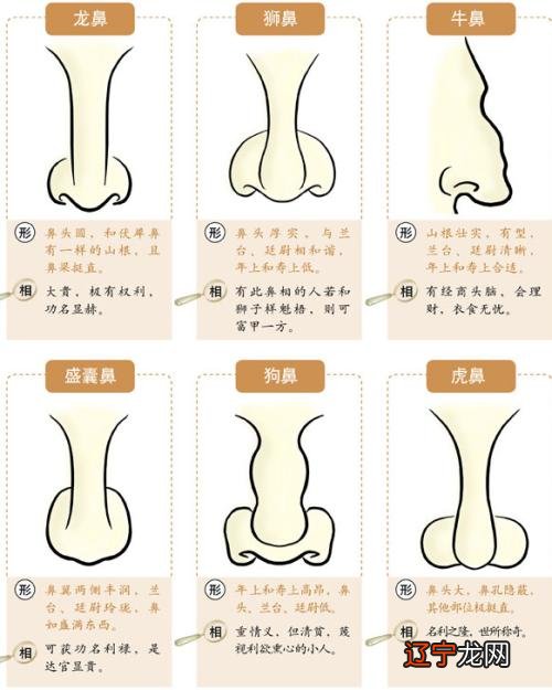 头尖的人是上等面相_面相学是真的吗_两学一做,学是