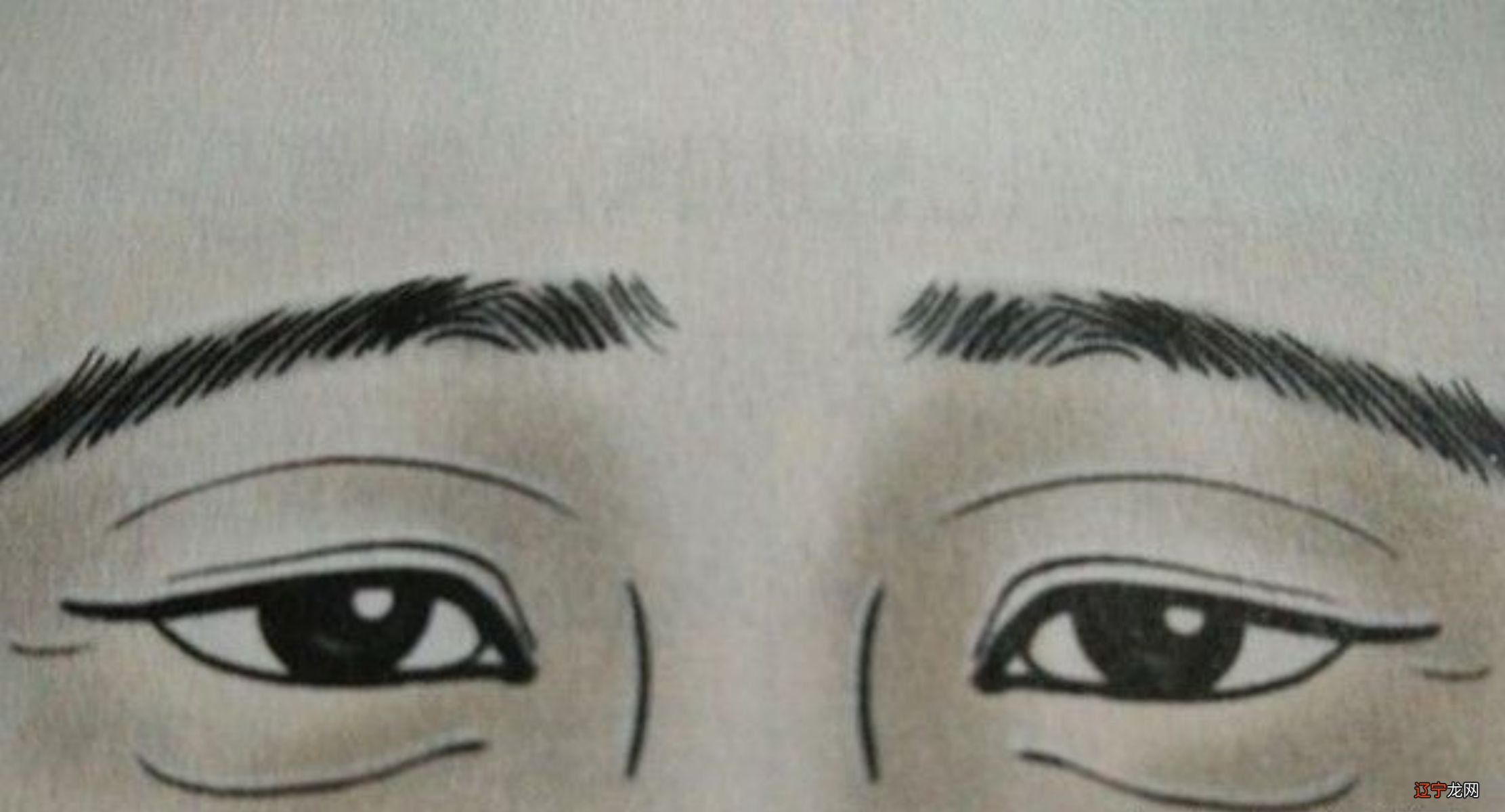 女人的眉毛能看出什么呢?网从女人眉毛看相图解
