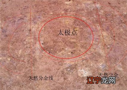 “风水”作为一个专门术语，最早见于《葬书》