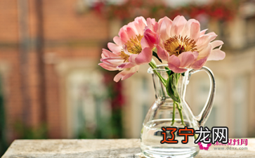 属猪的和什么属相的女性最配,相伴一生,则更是红尘中男女