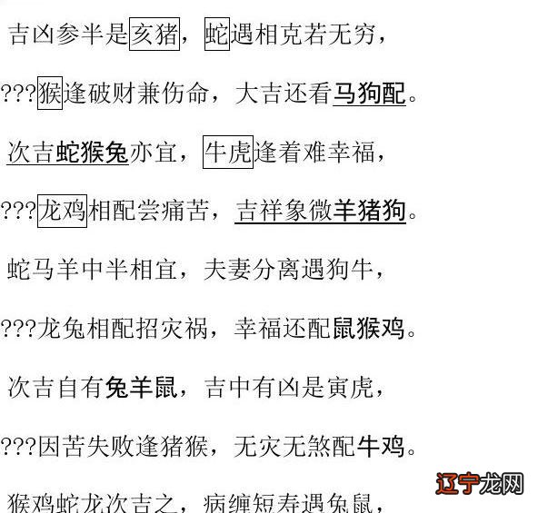 属猪的和什么属相的女性最配,相伴一生,则更是红尘中男女