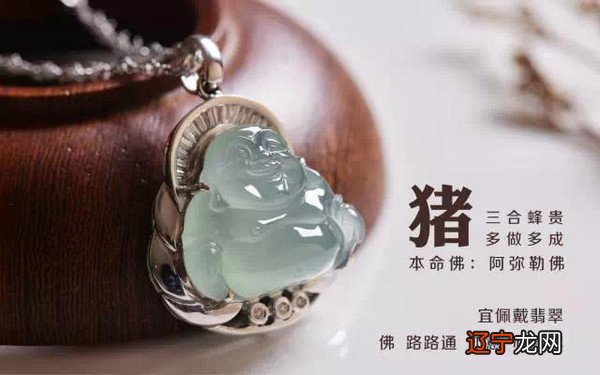 属猪人2021年下半年财富运势进入前三名的下半年