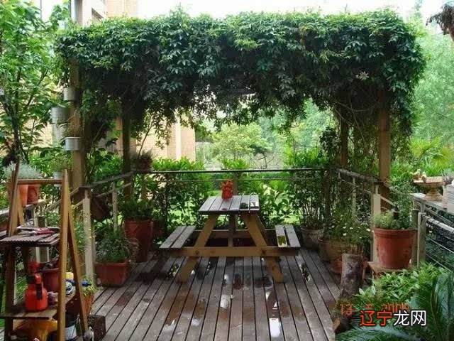 1.如何在楼顶种植葡萄树楼顶种葡萄的基本要求?