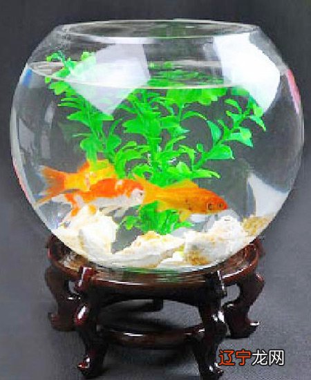 - 水象星座的桃花卧室星座桃花