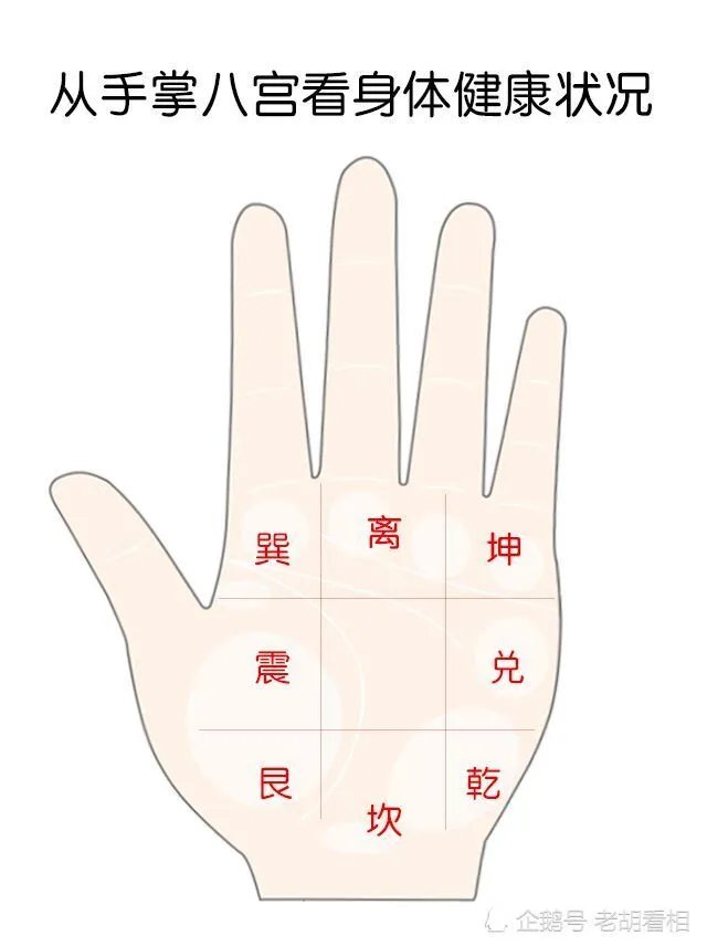 风水堂:脸上皮包骨双眼无神韵的面相