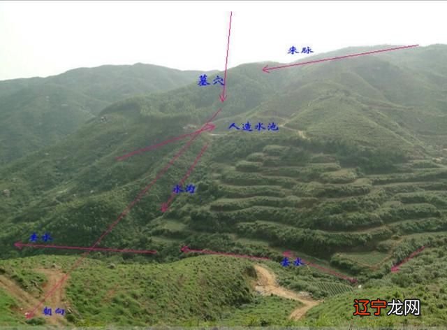 《专业化生存》内容摘要有效的方法让自己身体健康财运练练
