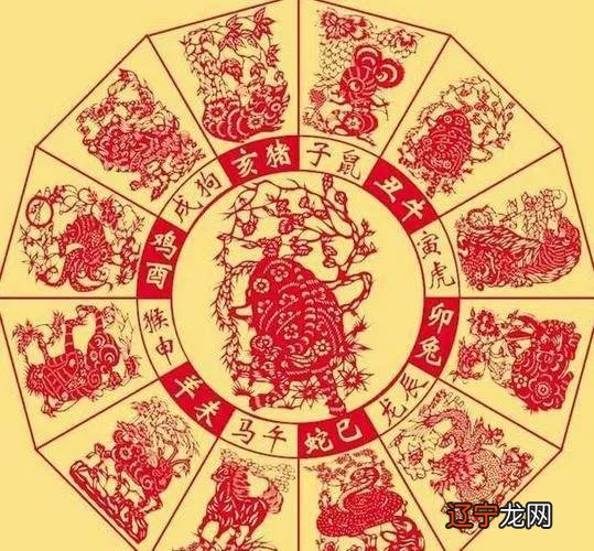 第一种风水堂:2020年八字运势有所下降