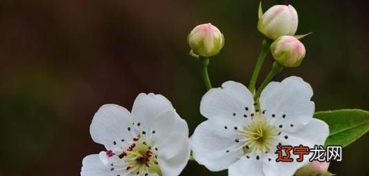 后知后觉■智商高，但很晚熟，后知后觉的星座，一旦醒悟，会有一番作为