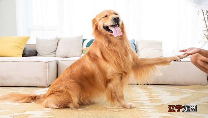 本篇风水堂:本篇多打盹时的梦境