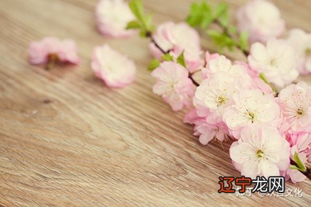 【李向东】建筑风水的主要规则，你知道吗？