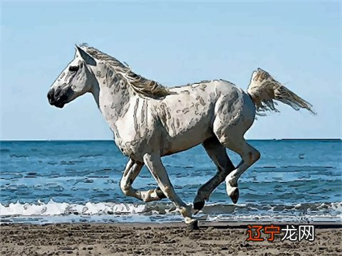 组图 1.3万阅字体：属马人2019年运势及运程