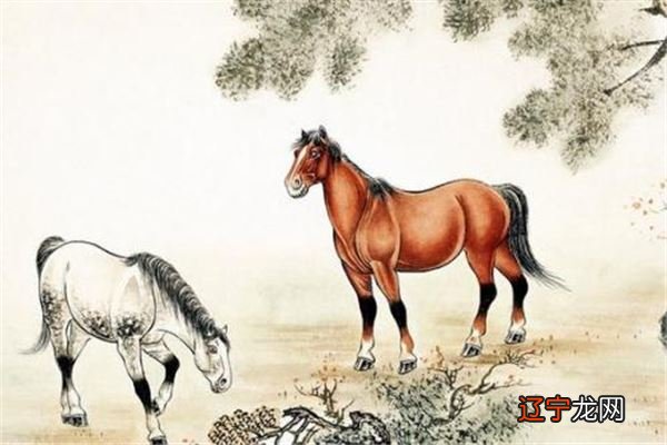 组图 1.3万阅字体：属马人2019年运势及运程