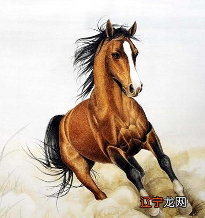 组图 1.3万阅字体：属马人2019年运势及运程