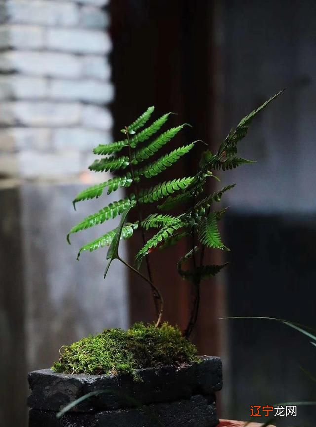 其实水逆没有那么可怕,不要一听就谈逆变色!