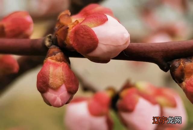 其实水逆没有那么可怕,不要一听就谈逆变色!