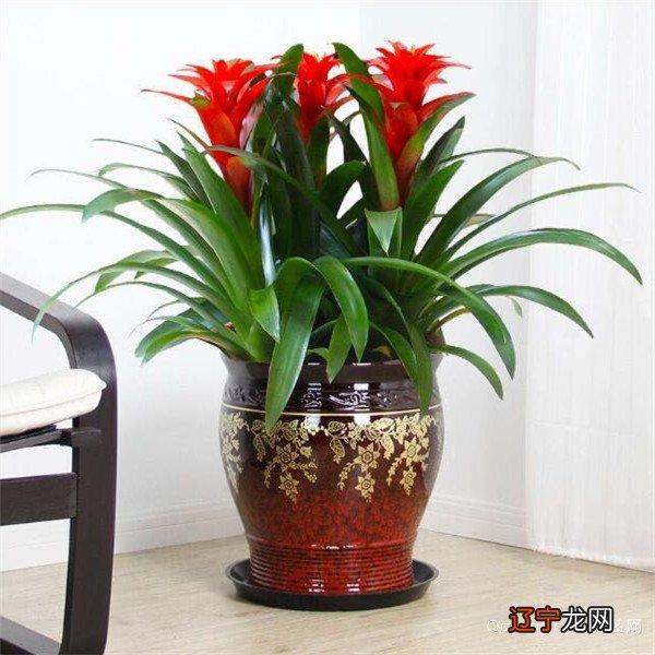 在这样一个气场局面下,如何运用中国堪舆学说?