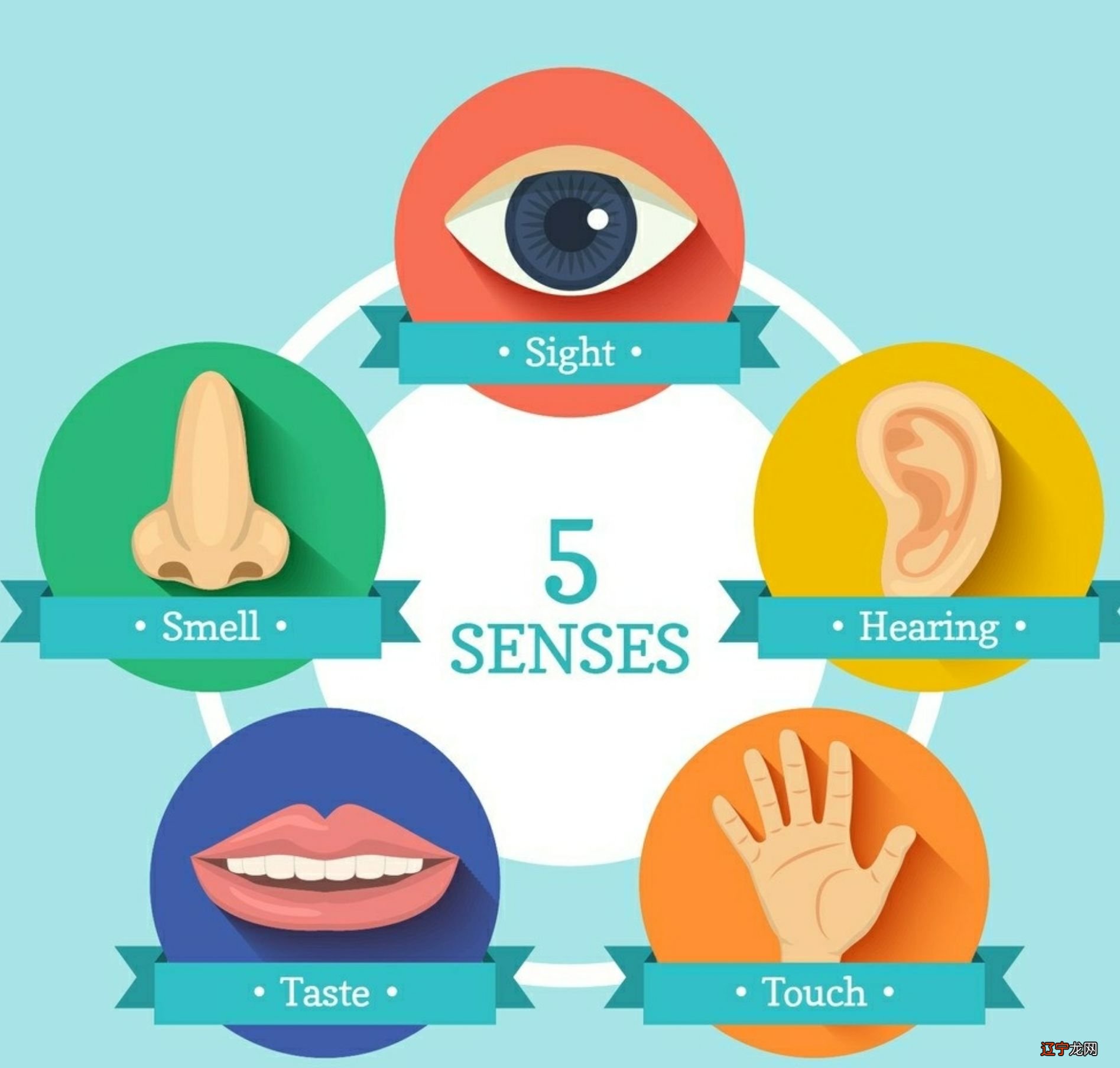 【李向东】女人看手相算命图解还不错,有点小福气,过一生舒服的小日子