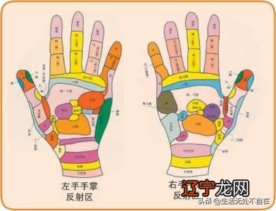 手指头相学 手，每时每刻陪伴我们，可又有多少人知道它