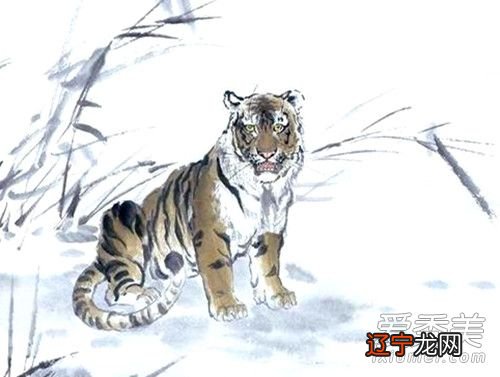 属虎的人性格和脾气在东方,老虎象征着权力、热情和大胆