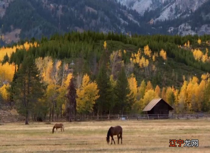 如穷风水堂:如穷富贵贱、职业方向