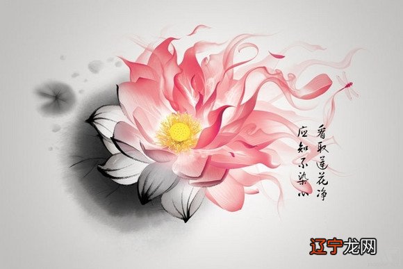 八字纯阴、纯阳的命理解析