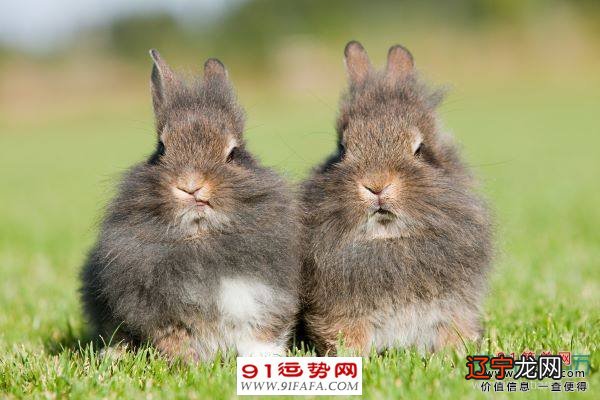 组图 男女婚配秘籍大全，老兵的引用秘籍！