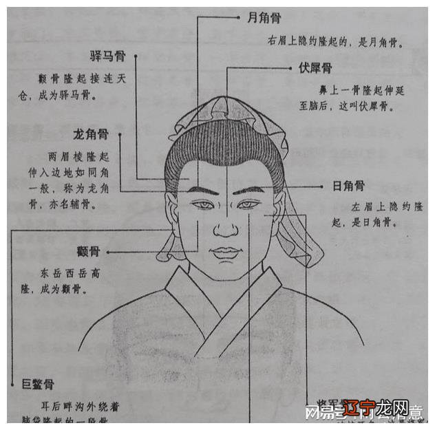 大额头高颧骨宽下巴的女人面相_女人额头有龙骨面相_额头高的女人面相