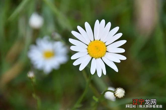 双鱼座风水堂:2022年1月份爱情运势