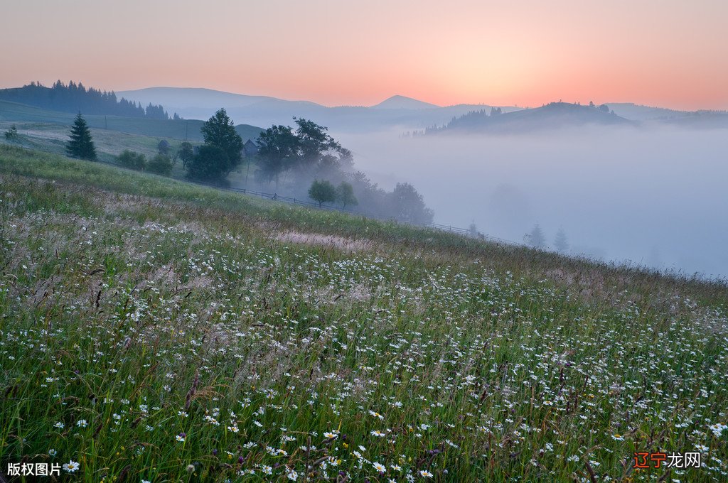 - 接好运，诸事大吉快来测占卜规则