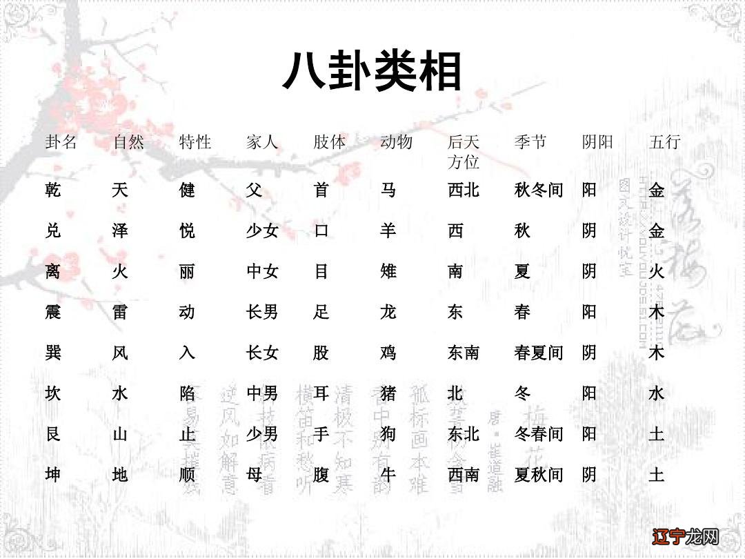 金口诀 一下：四柱八字梅花易数难度与准确率