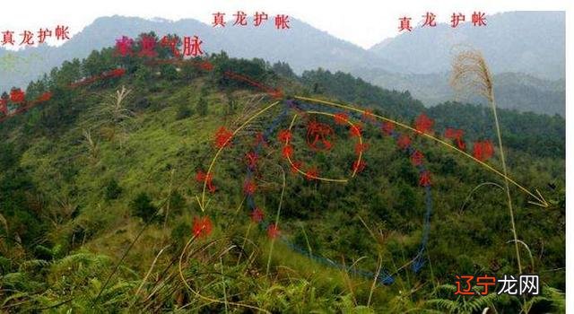 梦见看坟地风水_滕州风水大师看坟地_八字怎么看风水坟地