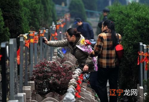 2班 大方五小六班主任清明祭祖扫墓扫墓琴