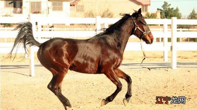 吕才合婚法 男女宫合婚问题，你知道吗？