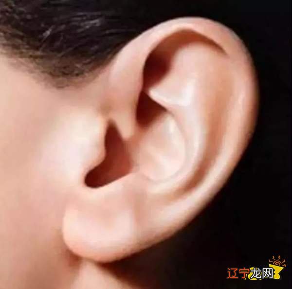 “一脸的聪明相”,往往会有着“奇特”的能力