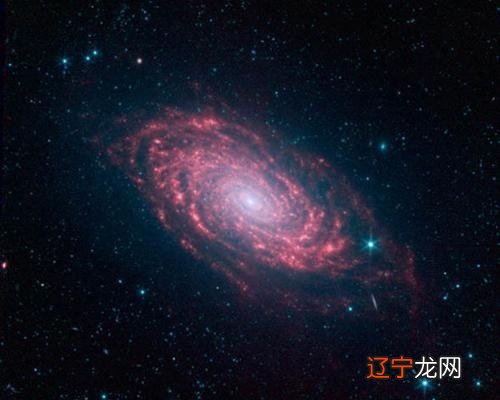 看本命年运势_看运势2017年运势_男命1977年属蛇2019年运势