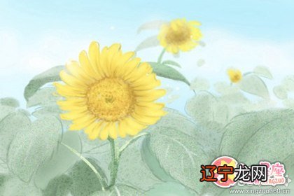 什么时辰出生的人是凤凰命呢？凤凰命好吗？