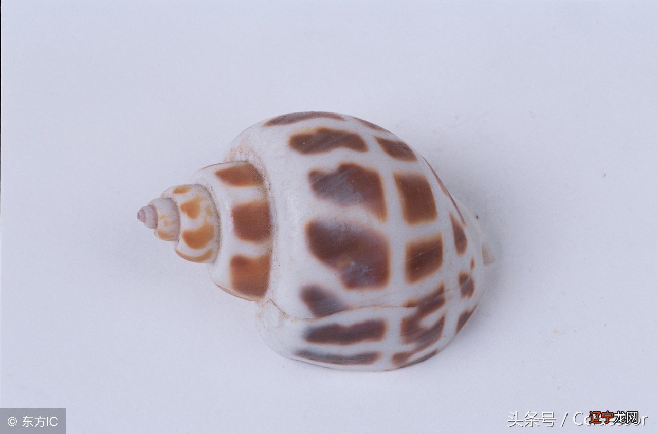 组图 区块链风水气诀“气”是生发万事万物的根源