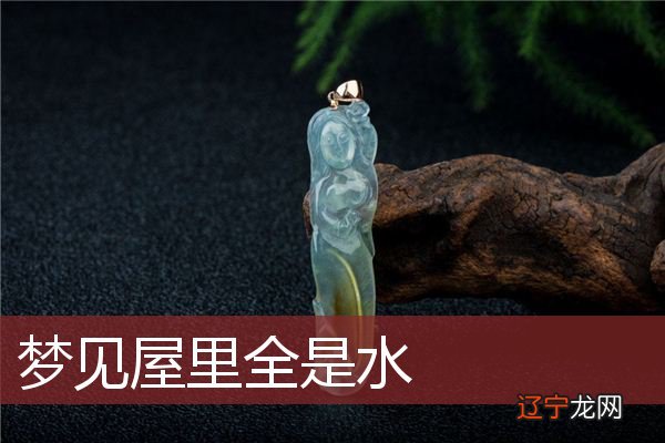 梦见屋里全是水