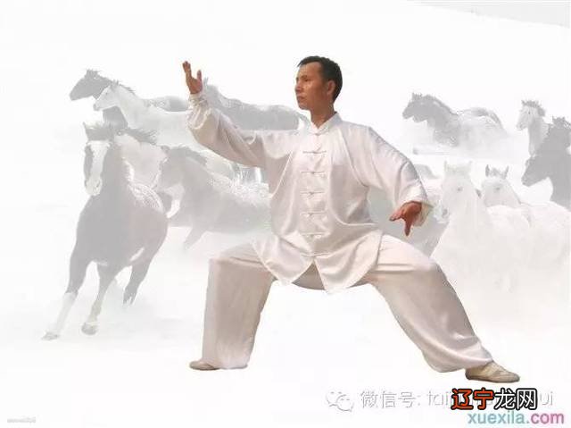 中华文化包括哪三种文化_中华石文化_中华李氏西平堂企业家文化论坛在江西新余隆重举行!