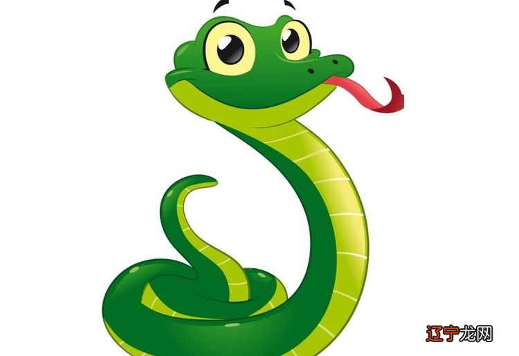 属蛇人2021年7月运势运程生肖蛇7月份运势如何