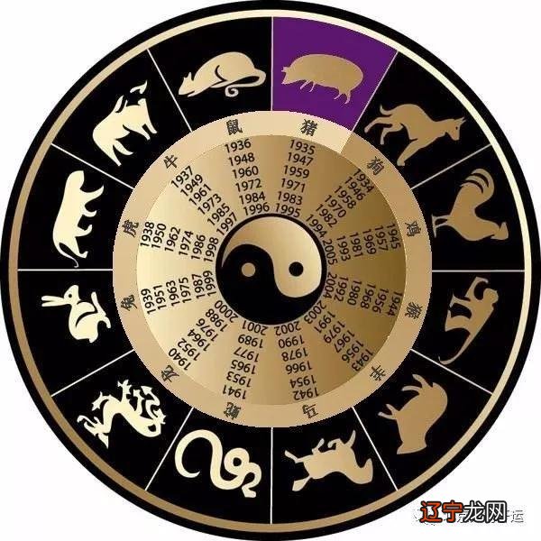 丁壬属什么生肖_丁火为何喜欢壬水_流年遇到丁壬合