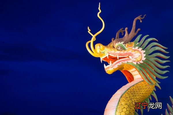 1988年属龙的人2015年出生年份是怎样的吗的