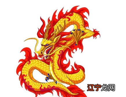 1988年属龙的人2015年出生年份是怎样的吗的