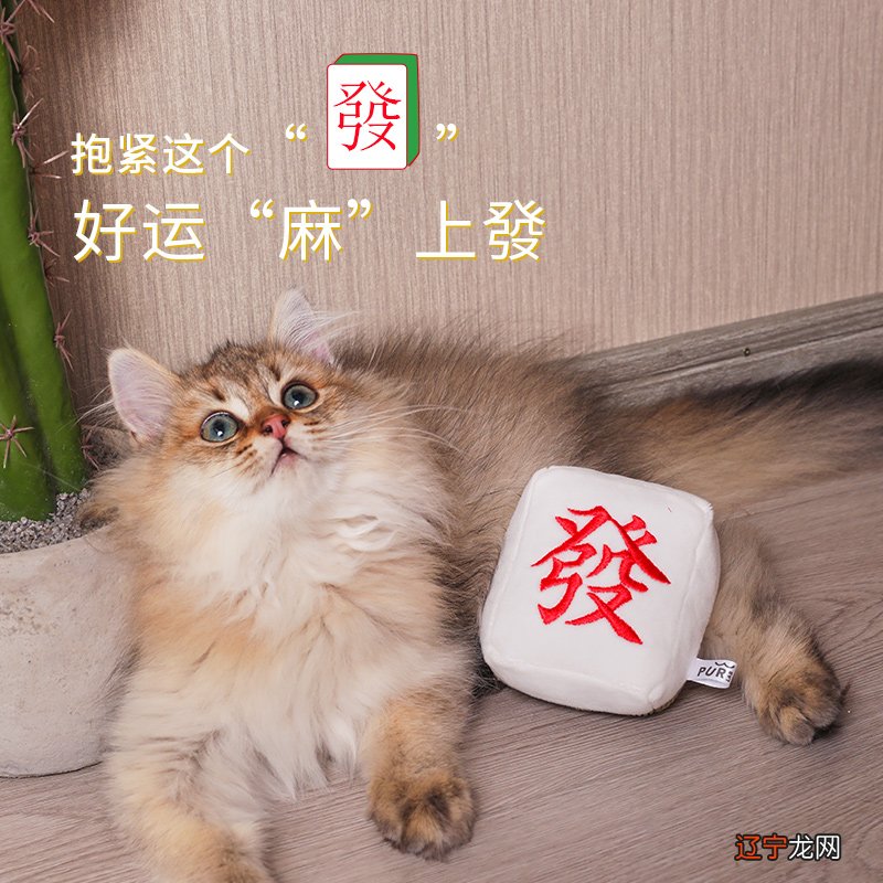 组图 双子座今日麻将运势占卜,你知道这是怎么回事吗?