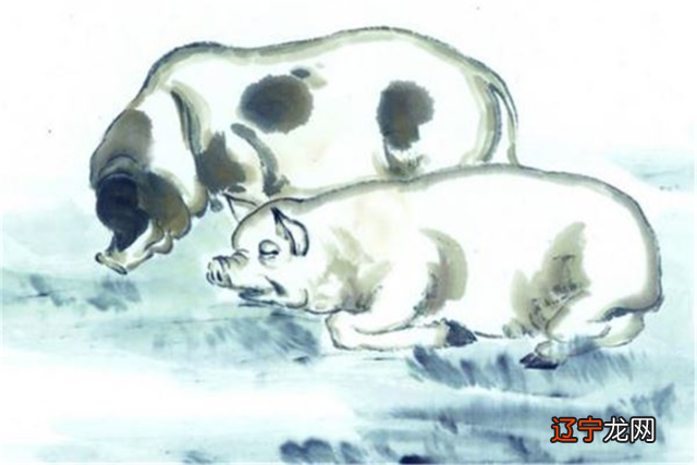 组图 生肖属相龙男与十二生肖的速配度有多大？