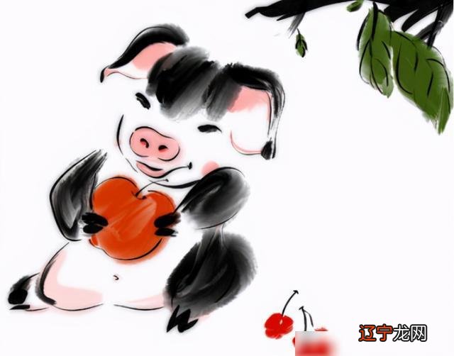 2019猪宝宝出世旺父母，一生中无病无灾多福长寿!