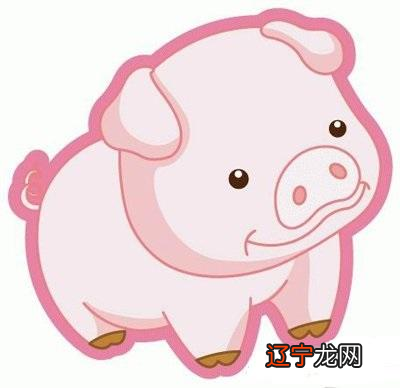 2019猪宝宝出世旺父母，一生中无病无灾多福长寿!